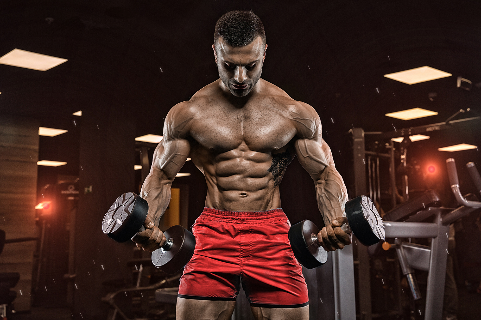 Having Energy Problems, Go For Sarms Romania