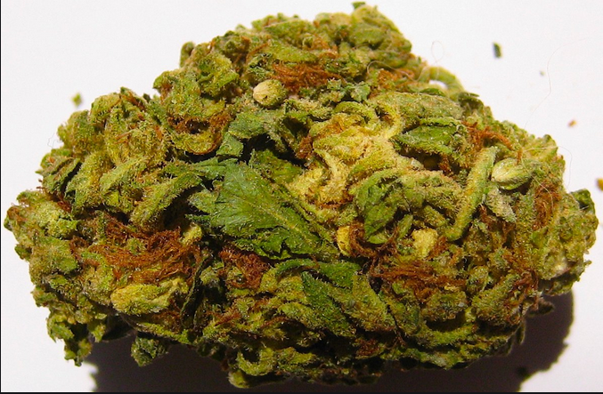 The Transport and delivery service Brokerages Of On-line Dispensary Ensure Safety