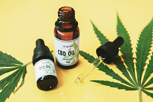 Discovering the Top Rated CBD Oil Products Offered Near You