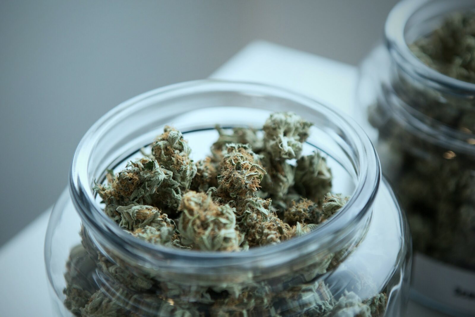 The Most Effective Collection of Cannabis at Trippy Wizard Dispensary