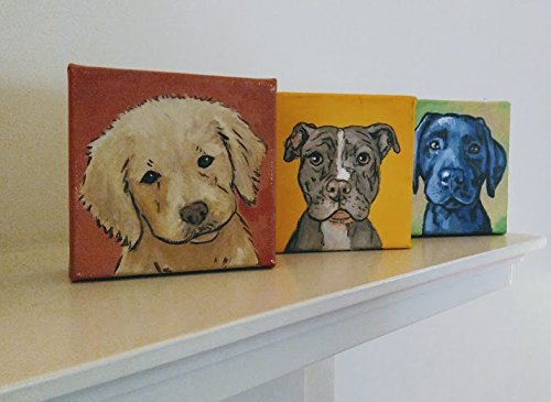 Showcase Your Treasured Home animals by using a Personalized Household animal Portrait