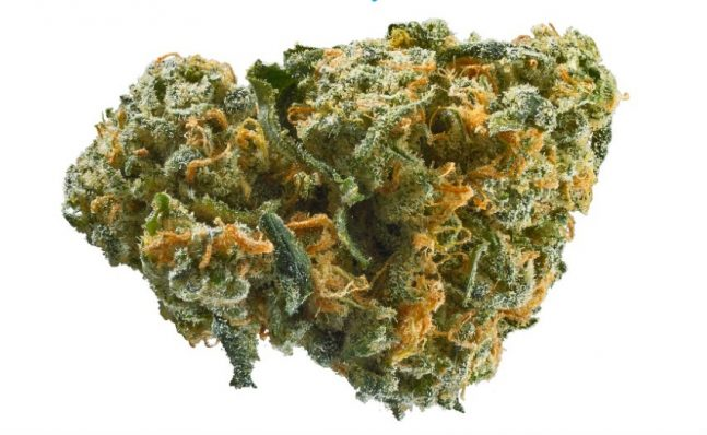Use Online Dispensary to get the best good quality items in a acceptable price