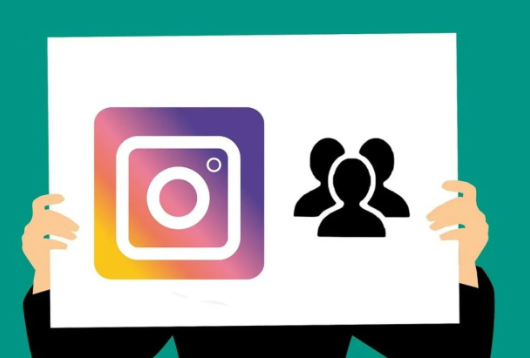 Solving the Puzzle: Gaining Access to Private Insta