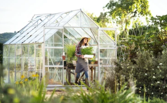 Eco friendly Spots: Modifying Backyards with Greenhouses